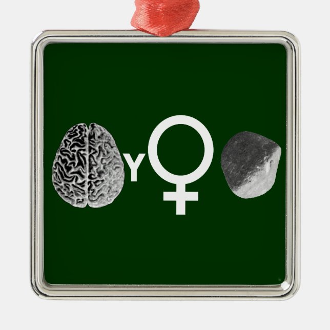 Brainy Girls Rock! Metal Tree Decoration (Front)