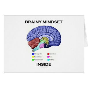 Brainy Mindset Inside (Anatomical Brain)