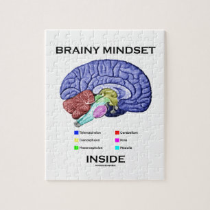 Brainy Mindset Inside (Anatomical Brain) Jigsaw Puzzle