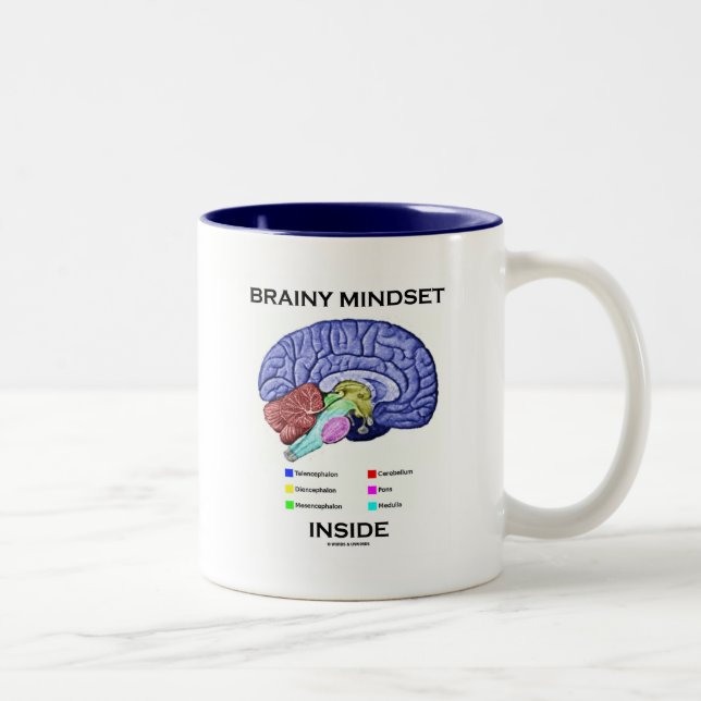 Brainy Mindset Inside (Anatomical Brain) Two-Tone Coffee Mug (Right)