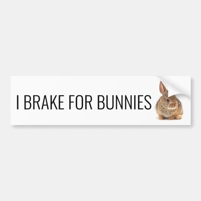 Brake for Bunnies Bumper Sticker (Front)
