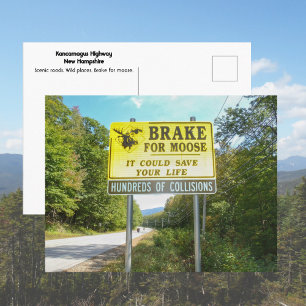 Brake for Moose Kancamagus Highway New Hampshire Postcard