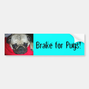 Brake for Pugs! Bumper Sticker