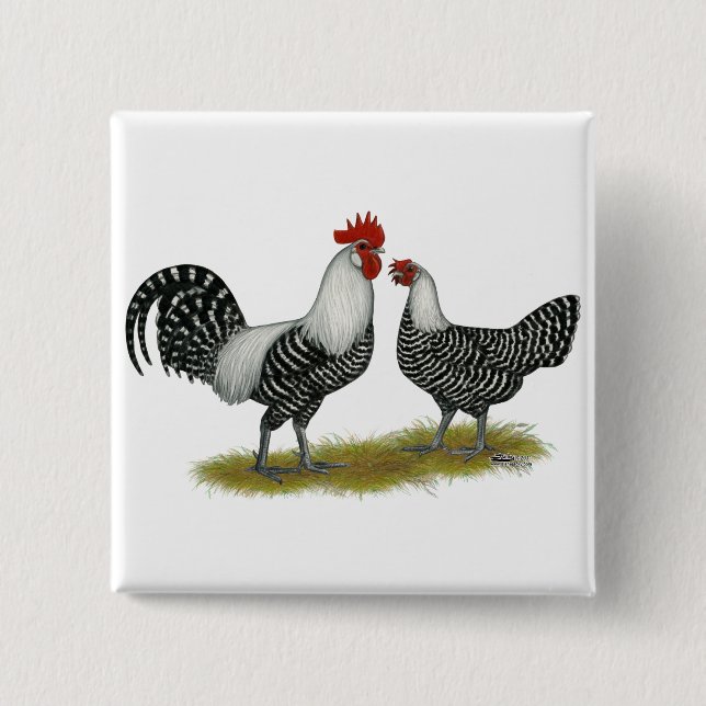 Brakel Chickens 15 Cm Square Badge (Front)