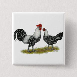 Brakel Chickens 15 Cm Square Badge