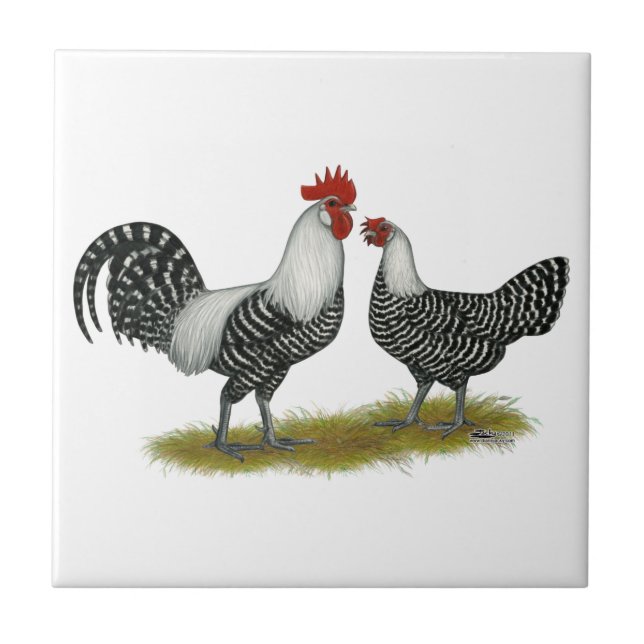 Brakel Chickens Tile (Front)