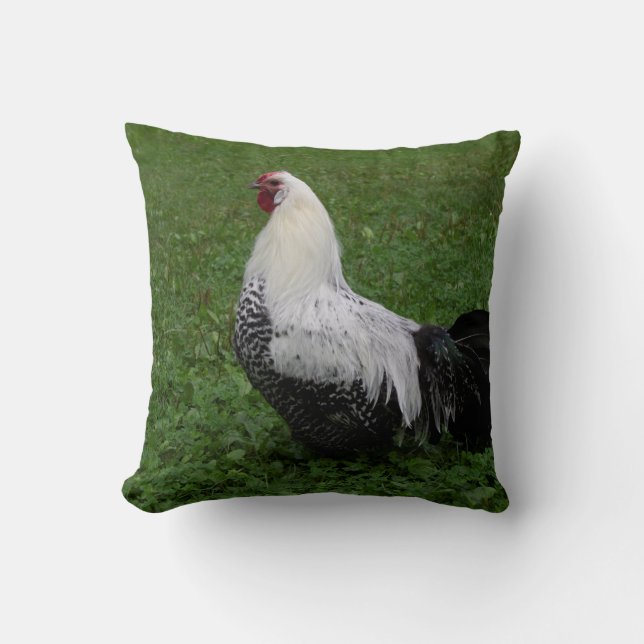 Brakel Hahn Cushion (Front)