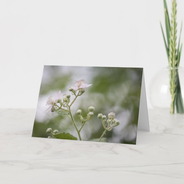 Bramble Berry Close Up Nature Photo Card (Front)