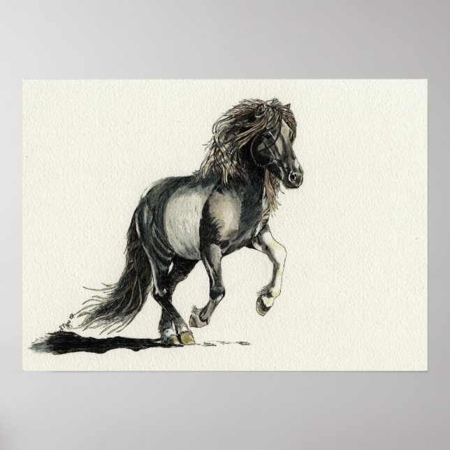 Brana Poster (Front)