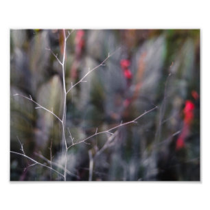 branch abstract photo print