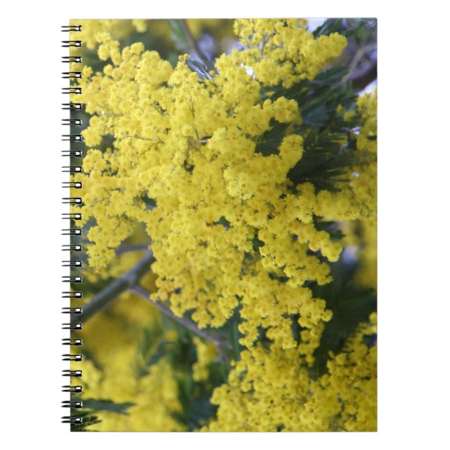 Branch of mimosa notebook (Front)