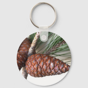 Branch of pine with the pinecone key ring