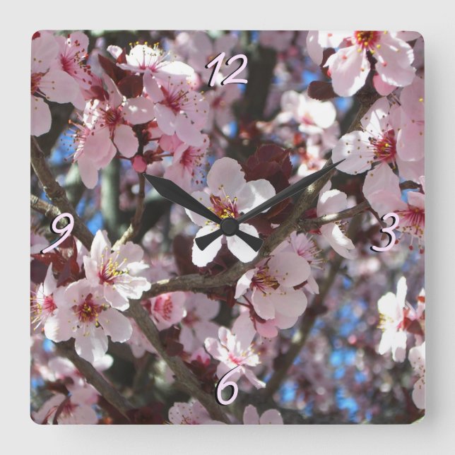 Branch of Pink Blossoms Spring Floral Square Wall Clock (Front)