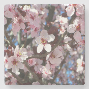 Branch of Pink Blossoms Spring Floral Stone Coaster