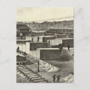 Branch yard, Princeton Lumber & Improvement Co Postcard