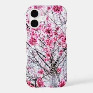Branches and Blooms of a Cherry Tree