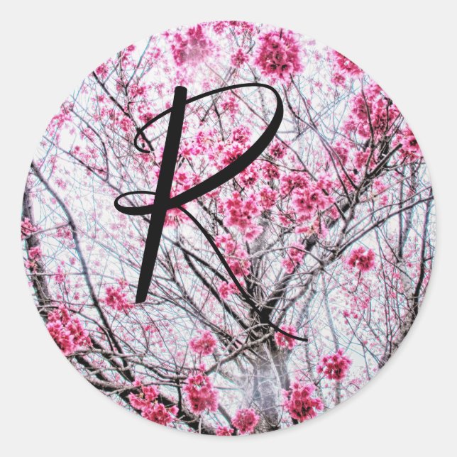 Branches and Blooms of a Cherry Tree Classic Round Sticker (Front)