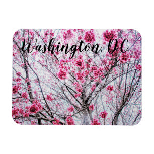 Branches and Blooms of a Cherry Tree Magnet