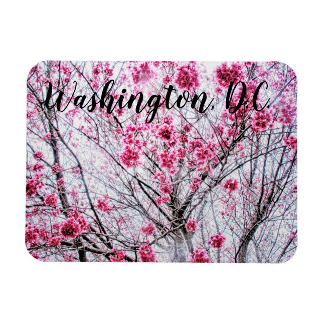 Branches and Blooms of a Cherry Tree Magnet (Horizontal)