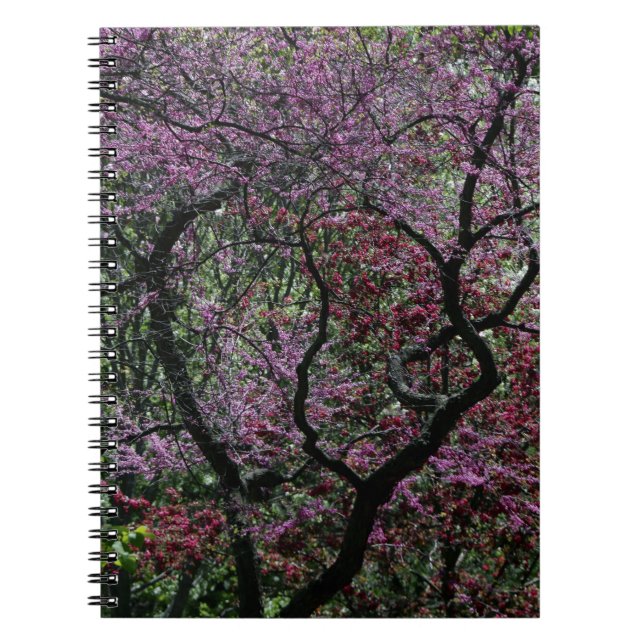 Branches and Blossoms Notebook (Front)