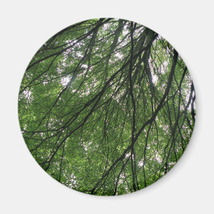 Branches and Leaves Magnet