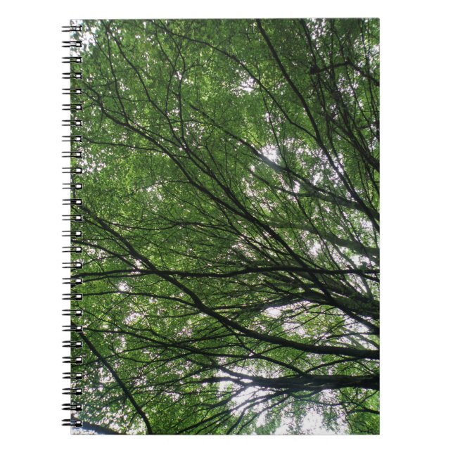 Branches and Leaves Notebook (Front)