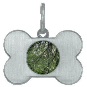 Branches and Leaves Pet Tag