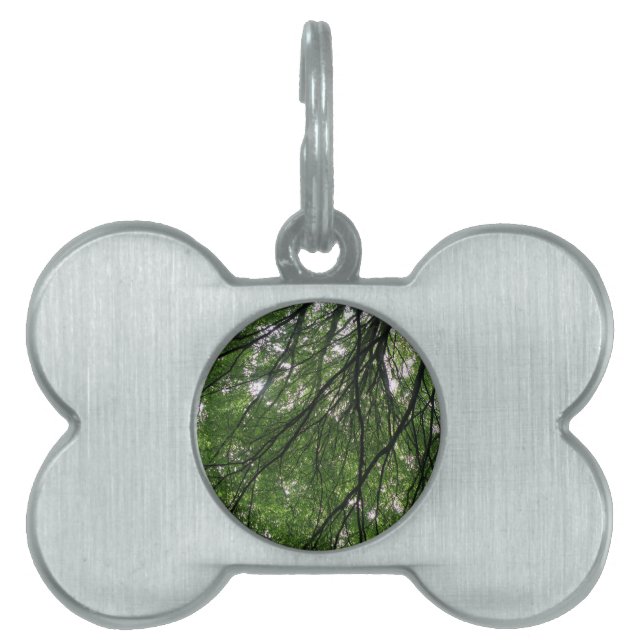Branches and Leaves Pet Tag (Front)