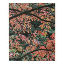 Branches Autumn Leaves Faux Wrapped Canvas Medium