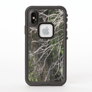Branches