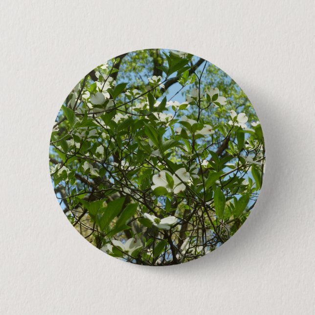 Branches of Dogwood Blossoms Spring Trees 6 Cm Round Badge (Front)