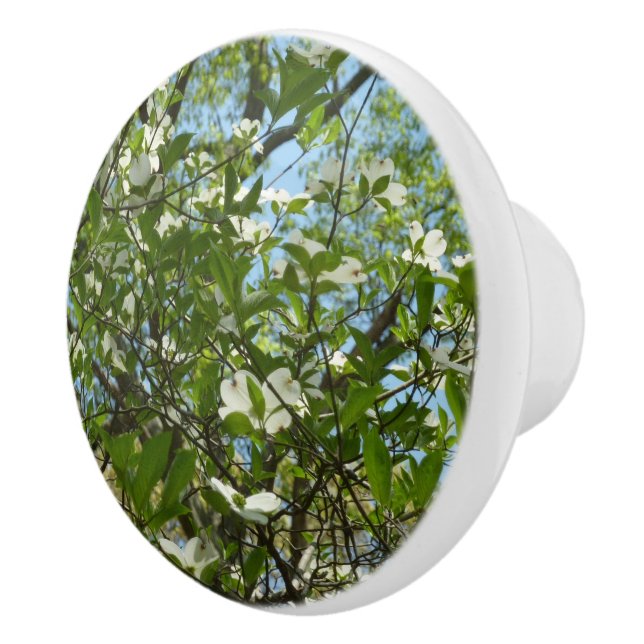 Branches of Dogwood Blossoms Spring Trees Ceramic Knob (Right)
