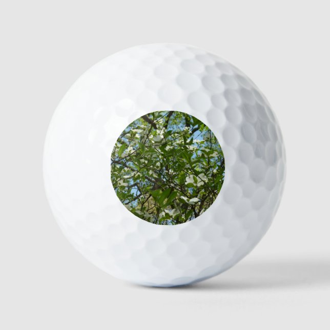 Branches of Dogwood Blossoms Spring Trees Golf Balls (Front)