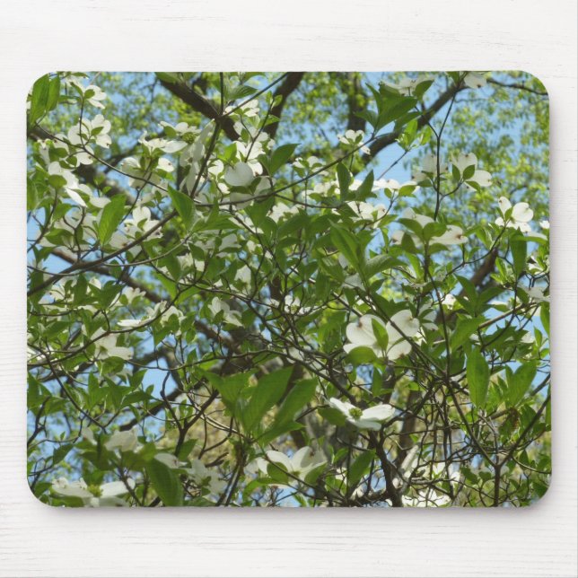 Branches of Dogwood Blossoms Spring Trees Mouse Pad (Front)
