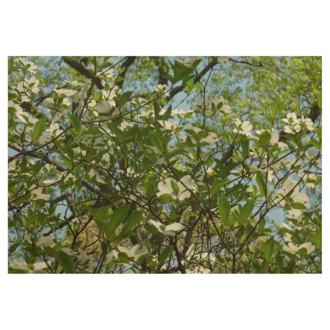 Branches of Dogwood Blossoms Spring Trees Wood Poster (Front)