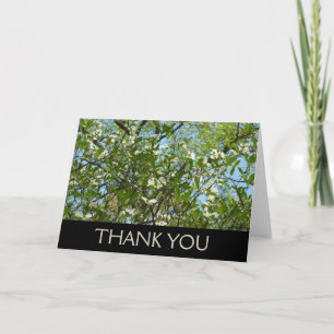 Branches of Dogwood Blossoms Thank You Card