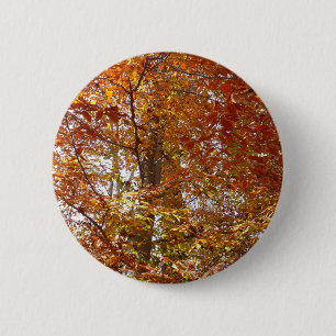 Branches of Orange Leaves Autumn Nature 6 Cm Round Badge