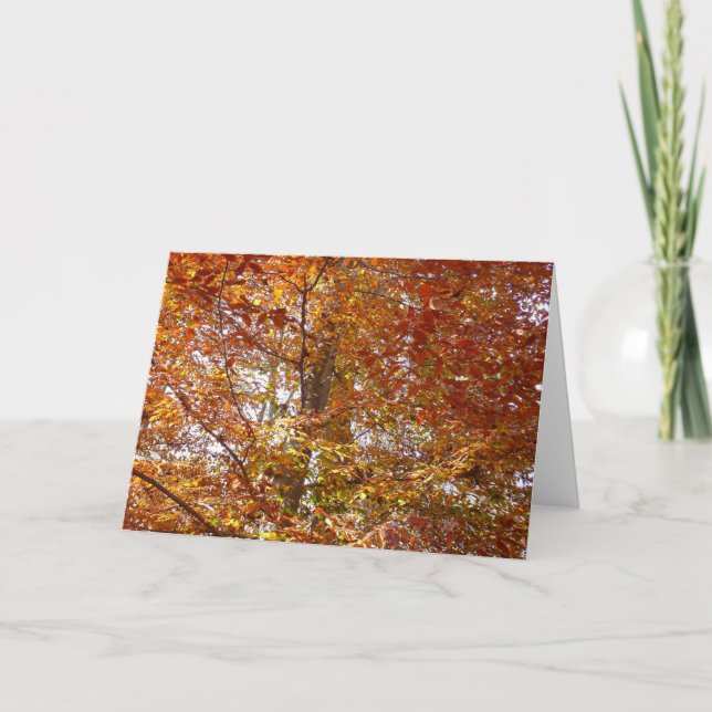 Branches of Orange Leaves Autumn Nature Card (Front)