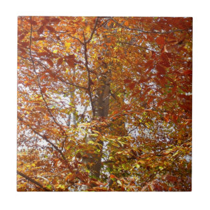 Branches of Orange Leaves Autumn Nature Ceramic Tile