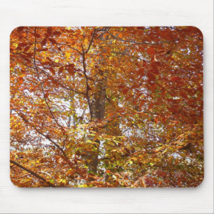 Branches of Orange Leaves Autumn Nature Mouse Pad