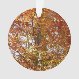 Branches of Orange Leaves Autumn Nature Ornament