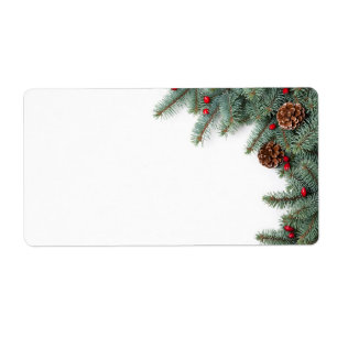 Branches Of Silver Spruce With Cones And Briar