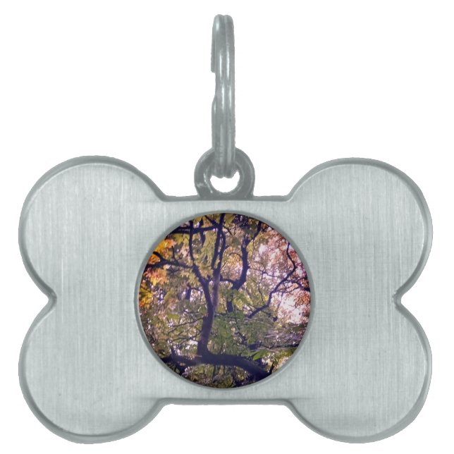 Branches Pet ID Tag (Front)