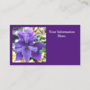 Brandeis Business Card