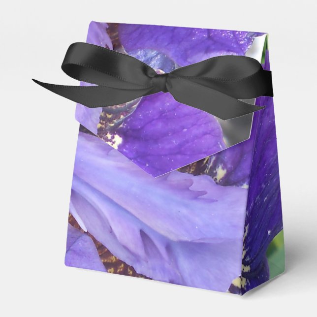 Brandeis Favour Box (Front Side)