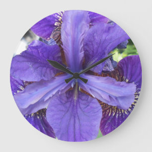 Brandeis Large Clock