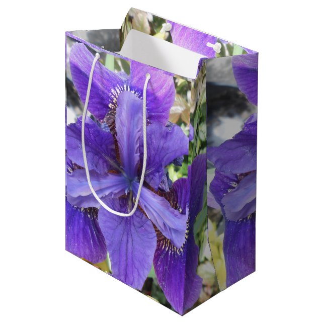 Brandeis Medium Gift Bag (Front Angled)