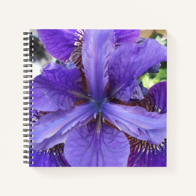 Brandeis Notebook (Front)