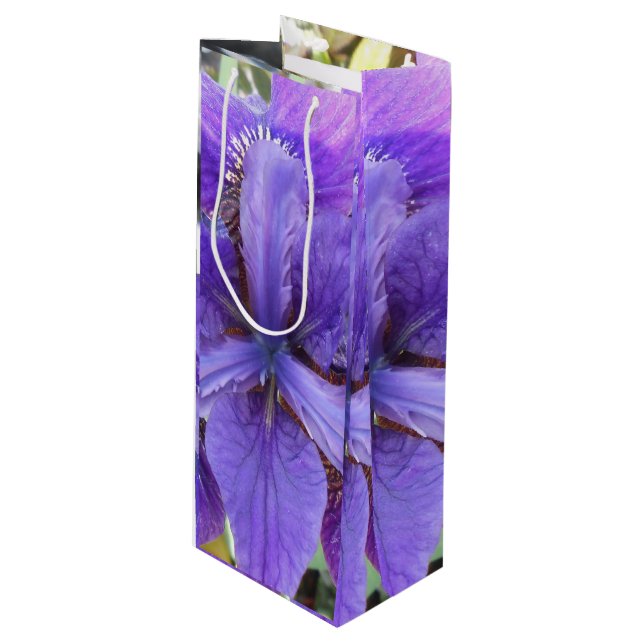 Brandeis Wine Gift Bag (Front Angled)