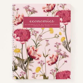 brandes economics notebook